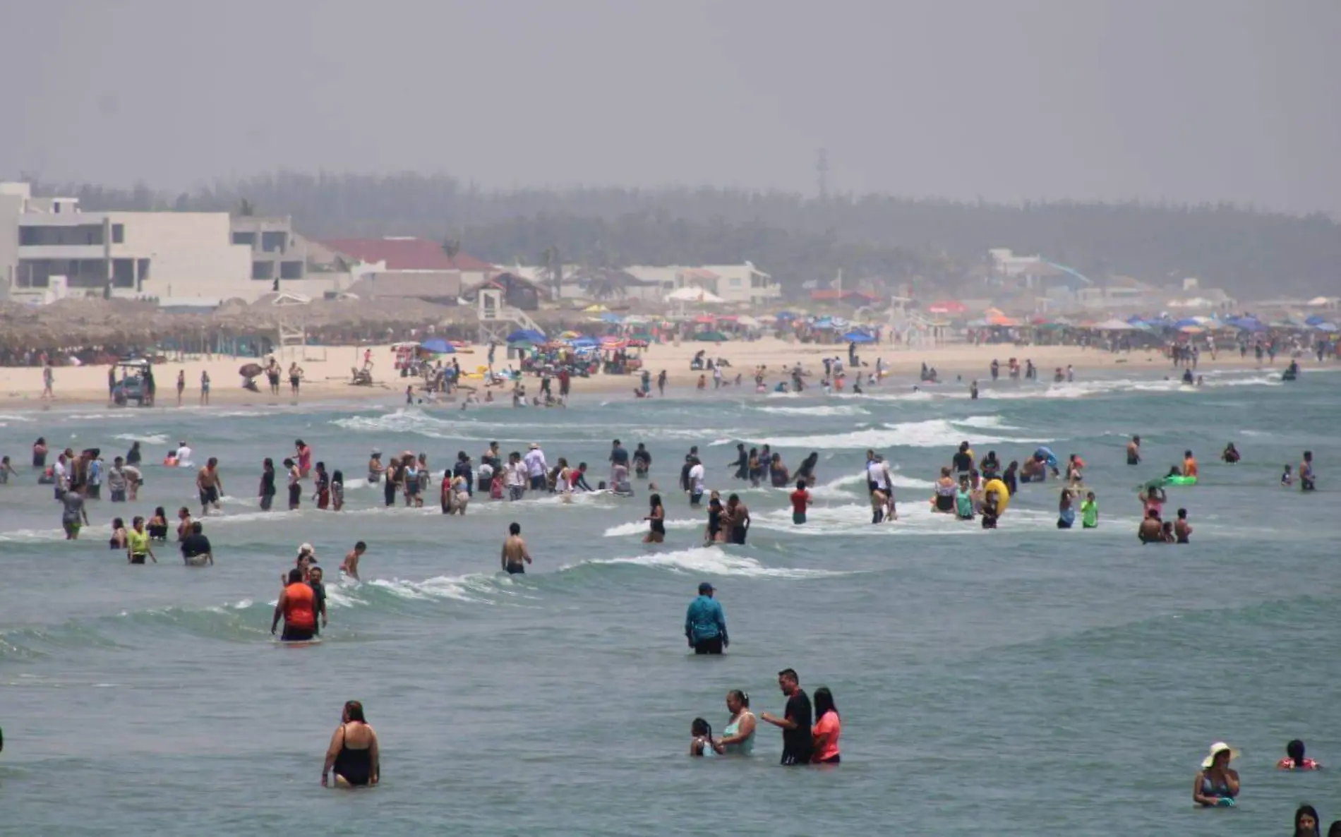 Capacitan a personal para actuar contra cocodrilos que aparezcan en playa Miramar 